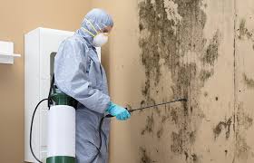 Best Mold Remediation for Healthcare Facilities  in Blplay, AL